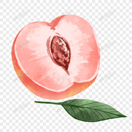樱花视频免费版APP应用